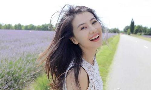 高圆圆背景资料,从影视新星到时尚偶像的蜕变之路