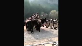 大雾 搞笑描述,大雾中的欢乐奇遇记