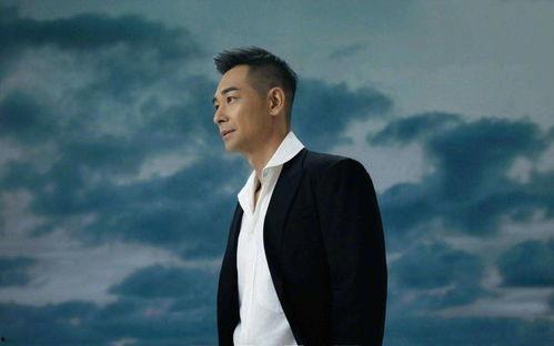 中年男明星照片,中年男明星风采依旧