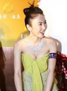 中国娱乐圈波霸